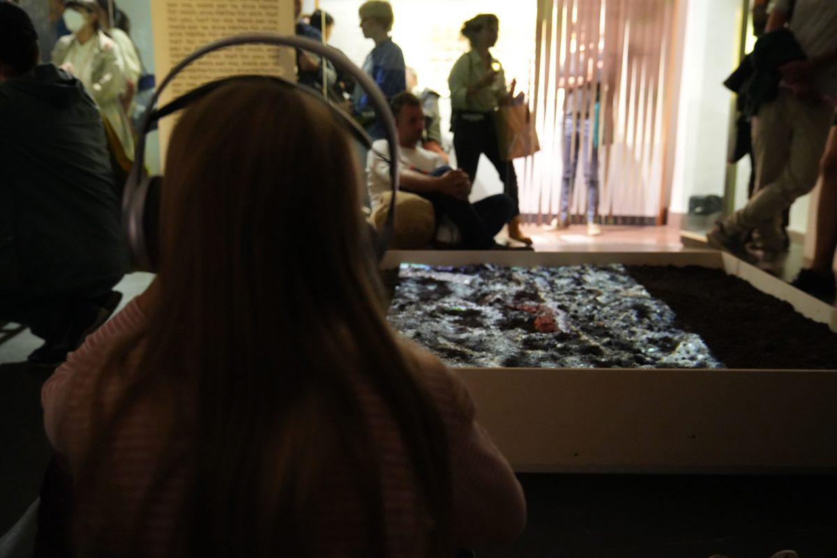 Glocal Worm-ing Opening at the Naturmuseum Südtirol, photo by Georg Zeller