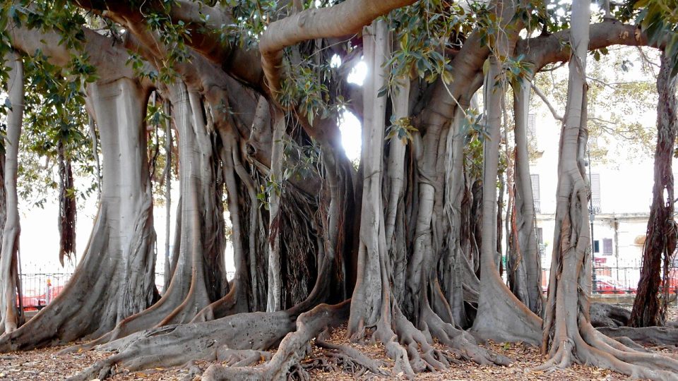 Hopeful Design Union